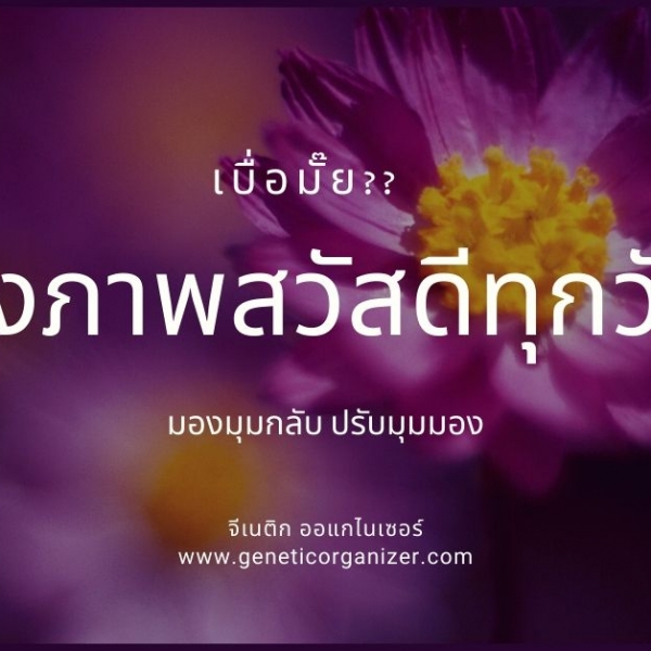 สวัสดีทุกวัน