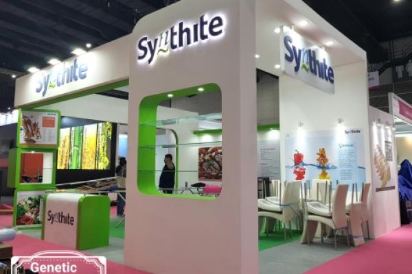 Synthite from India