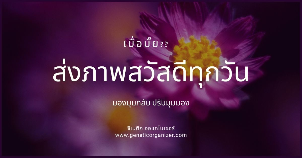 สวัสดีทุกวัน